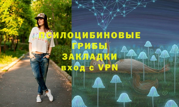 jwh Горняк