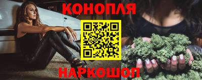 стафф Гатчина
