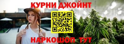 стафф Гатчина