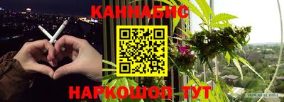 стафф Гатчина