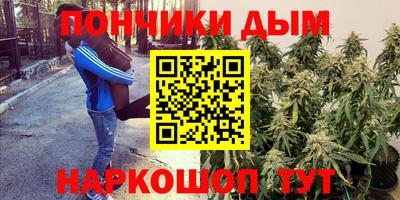 сатива Гагарин