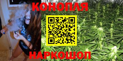 стафф Гатчина