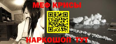стафф Гатчина