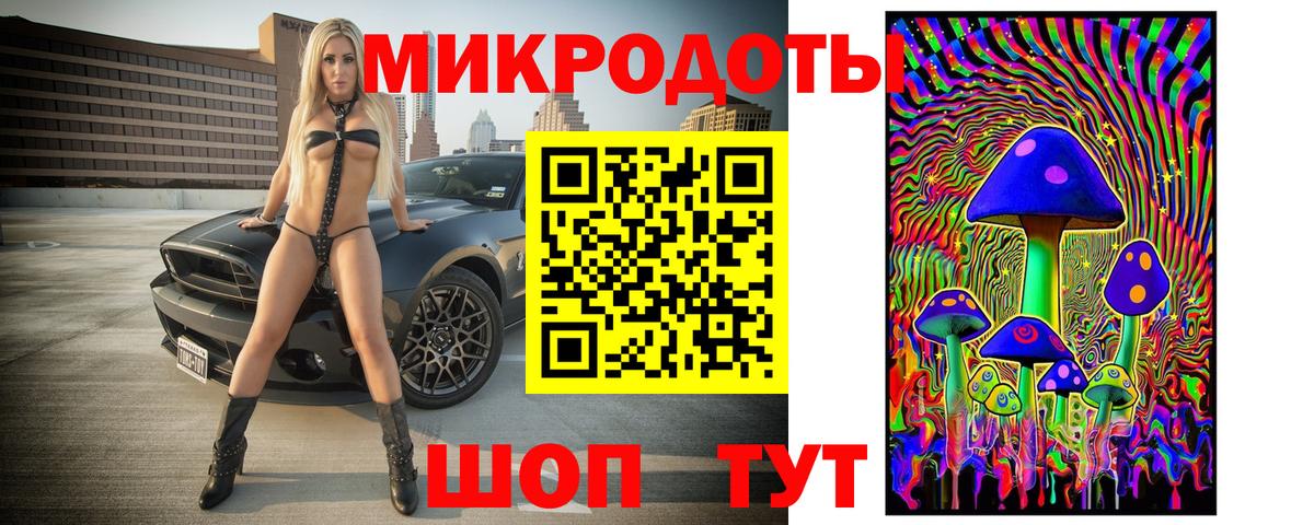 Псилоцибиновые грибы мицелий Москва