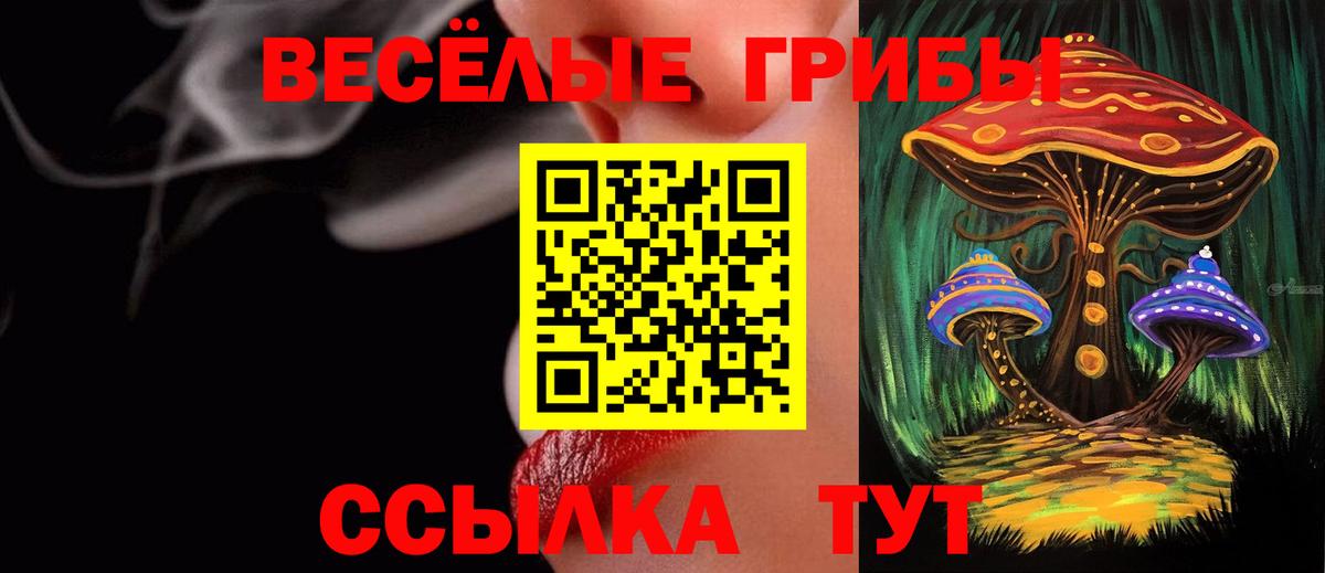 Москва  купить закладку  Вход с VPN  Псилоцибиновые грибы Magic Shrooms 