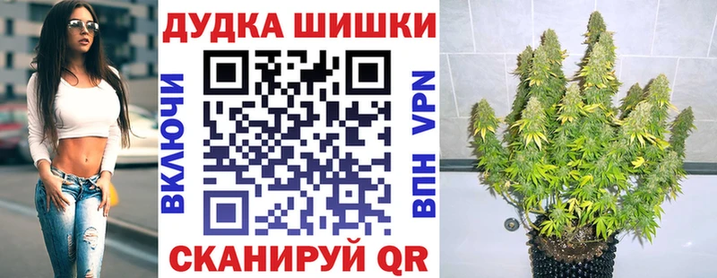 Канабис сатива Москва